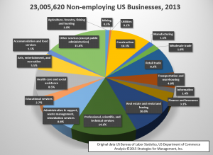 2013 nonemployer pie